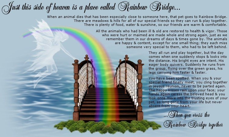 Southeast Louisiana Pet Food Pantry - Rainbow Bridge